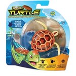 Ficha técnica e caractérísticas do produto Tartaruga Robo Turtle - Marrom