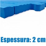 Ficha técnica e caractérísticas do produto Tatame em Eva com Borda 1 Metro com 2 Cm de Espessura Azul Evamax