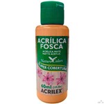 Ficha técnica e caractérísticas do produto Tinta Acrilica Fosca 60ml - 569 - Caramelo - Acrilex