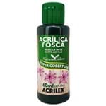 Ficha técnica e caractérísticas do produto Tinta Acrílica Fosca 60ml 571 Verde Esmeralda Acrilex 1025351