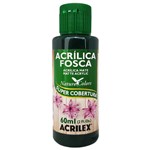 Ficha técnica e caractérísticas do produto Tinta Acrílica Fosca 60ml 571 Verde Esmeralda Acrilex