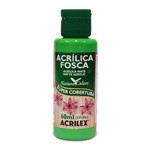 Ficha técnica e caractérísticas do produto Tinta Acrílica Fosca - 60ml - Verde Folha - 510 - Acrilex