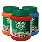 Ficha técnica e caractérísticas do produto Tinta Acrilica Fosca Nature Colors 250ml - Acrilex 501 - Azul Turquesa