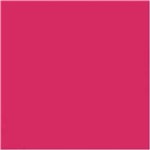 Ficha técnica e caractérísticas do produto Tinta Acrilica Nature Colors - Acrilex - 804 - Fuchsia