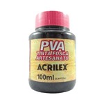 Ficha técnica e caractérísticas do produto Tinta PVA para Artesanato Fosca 100mL Preto Acrilex