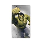 Ficha técnica e caractérísticas do produto Toalha de Praia Hulk Smash Vertical - 429k