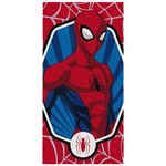 Ficha técnica e caractérísticas do produto Toalha Felpuda de Banho Estampada Spider Man Vermelho