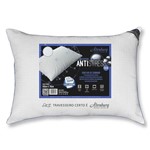 Ficha técnica e caractérísticas do produto Travesseiro Antistress 50cm X 70cm - Altenburg