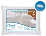 Ficha técnica e caractérísticas do produto Travesseiro Pena de Ganso 45x65 Branco - Plumasul