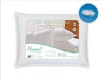 Ficha técnica e caractérísticas do produto Travesseiro Pena de Ganso 50x70 Branco - Plumasul