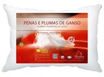 Ficha técnica e caractérísticas do produto Travesseiro Penas e Plumas de Ganso 50 X 70 Cm - Plooma TR.E1.0006