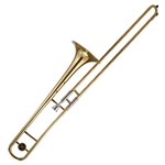 Ficha técnica e caractérísticas do produto Trombone de Vara Michael Wtbm35 Bb Laqueado
