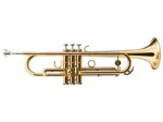 Ficha técnica e caractérísticas do produto Trompete Michael Si Bemol - Dual Gold WTRM68