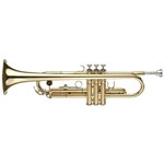 Ficha técnica e caractérísticas do produto Trompete Michael WTRM36 Bb