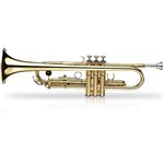 Ficha técnica e caractérísticas do produto Trumpet Laqueado Case ABS WTRM36 Michael
