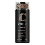 Ficha técnica e caractérísticas do produto Truss Professional Curly - Shampoo