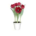 Ficha técnica e caractérísticas do produto Tulipa Vermelha Pote 13