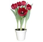 Ficha técnica e caractérísticas do produto Tulipa Vermelha Pote 15