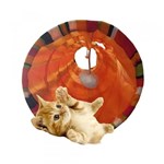Ficha técnica e caractérísticas do produto Tunel para Gato Dobravel Brinquedo Interativo Cat 1,25m - Re