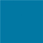 Ficha técnica e caractérísticas do produto (Turquoise) - Efcolor Enamelling Powder, Resin, Turquoise, 25 Ml