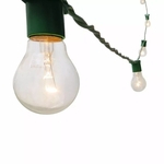 Ficha técnica e caractérísticas do produto Varal De Luzes Cordão de Iluminação Gambiarra lâmpada 20M VD