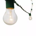 Ficha técnica e caractérísticas do produto Varal De Luz Cordão Iluminação Gambiarra com lâmpadas 95M VD