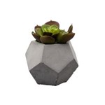 Ficha técnica e caractérísticas do produto Vaso de Cimento Decorativo com Suculenta Artificial 10cm