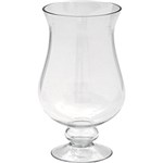 Ficha técnica e caractérísticas do produto Vaso Decorativo de Vidro BTC Transparente - (31x17x17cm)