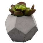 Ficha técnica e caractérísticas do produto Vaso Decorativo Lyor Classic Cimento com Cacto em Plástico - 12 Cm