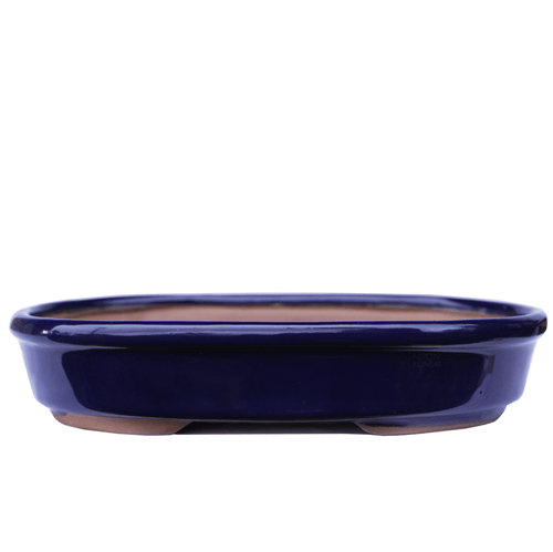 Ficha técnica e caractérísticas do produto Vaso para Bonsai Oval 22X15x5cm (azul)