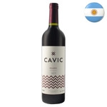 Ficha técnica e caractérísticas do produto Vinho Cavic Malbec Tinto 750ml