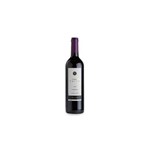 Ficha técnica e caractérísticas do produto Vinho Chileno Costanera Carmenere 750 Ml