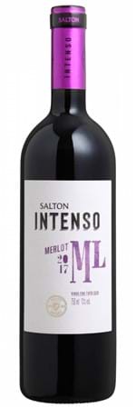 Ficha técnica e caractérísticas do produto Vinho Merlot Intenso Salton - 254-1