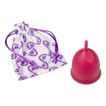 Ficha técnica e caractérísticas do produto Violeta Cup Coletor Menstrual Tipo A Vermelho 40g