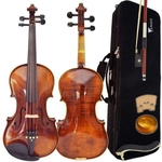 Ficha técnica e caractérísticas do produto Violino 4/4 Envelhecido Vk644 Eagle