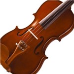 Ficha técnica e caractérísticas do produto Violino 4/4 Maple Flame Honey Finishing Spruce Michael