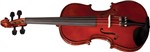 Ficha técnica e caractérísticas do produto Violino Eagle 4/4 Rajado - Ve144