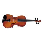 Ficha técnica e caractérísticas do produto Violino Michael Vnm30 3/4 Arco de Crina Animal Tradicional Series