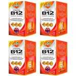 Ficha técnica e caractérísticas do produto Vitamina B12 Cianocobalamina - 4 Unidades de 120 Cápsulas - Katigua