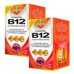 Vitamina B12 Cianocobalamina - 2 Un de 120 Cápsulas - Katigua
