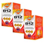 Vitamina B12 Cianocobalamina - 3 Un de 120 Cápsulas - Katigua
