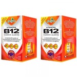 Ficha técnica e caractérísticas do produto Vitamina B12 Cianocobalamina - 2 Unidades de 120 Cápsulas - Katigua
