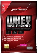 Ficha técnica e caractérísticas do produto Whey Muscle Hammer 900G Morango - Body Action