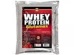 Ficha técnica e caractérísticas do produto Whey Protein Glutamax Refil 1kg - Chocolate - DNA