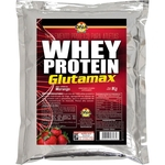 Ficha técnica e caractérísticas do produto Whey Protein Glutamax Refil 1kg - Dna