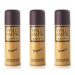 Wild Musk Desodorante Spray 90ml (kit C/03)