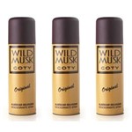 Ficha técnica e caractérísticas do produto Wild Musk Desodorante Spray 90ml - Kit com 03