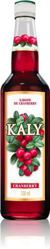 Ficha técnica e caractérísticas do produto Xarope Kaly Cranberry 700ml