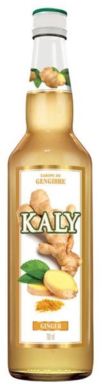 Ficha técnica e caractérísticas do produto Xarope Kaly de Gengibre 700ml - Stock