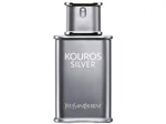 Ficha técnica e caractérísticas do produto Yves Saint Laurent Kouros Silver Perfume Masculino - Eau de Toilette 50ml